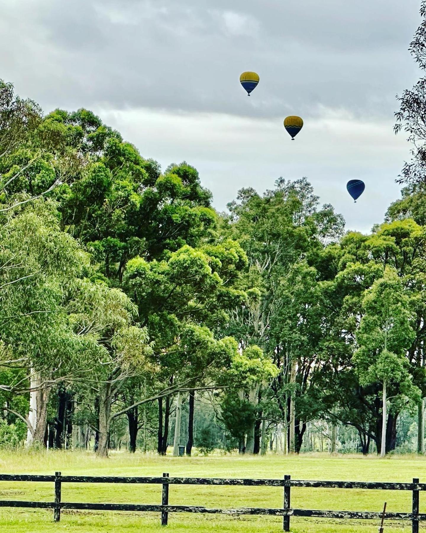 Pokolbin Village Estate Bagian luar foto